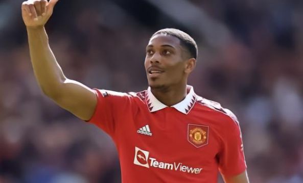 他们喜欢自 他们喜欢自