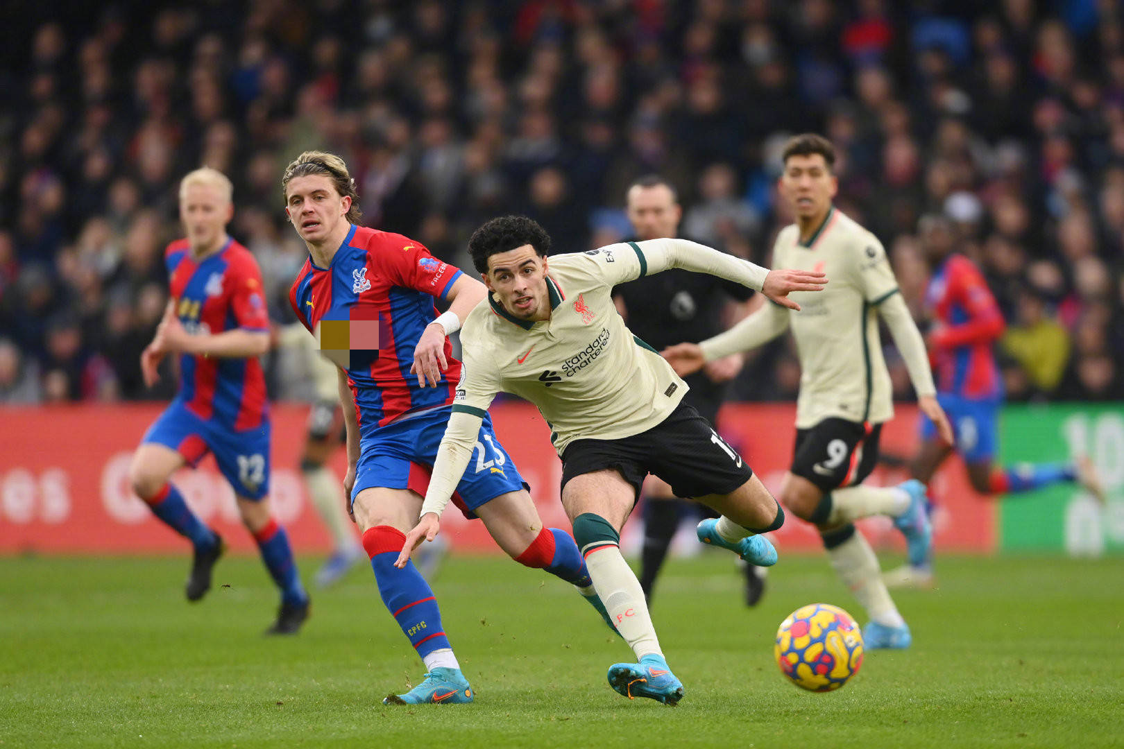 生涯的巅峰 生涯的巅峰